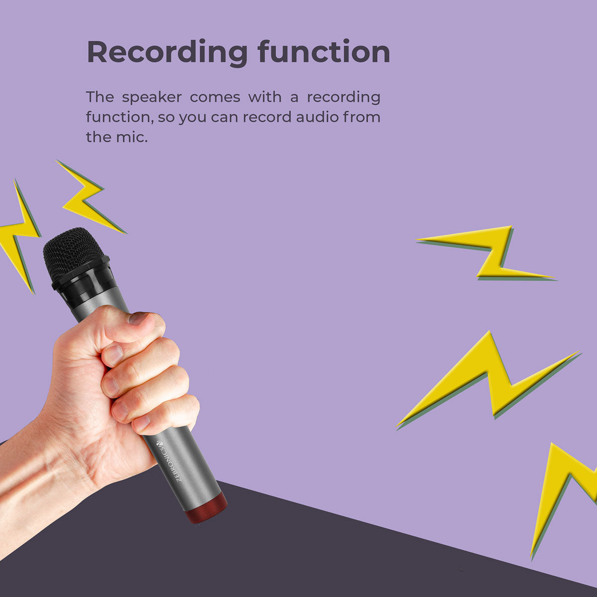 Zeb Kong with LED lights | DJ Speaker  Zebronics recording function