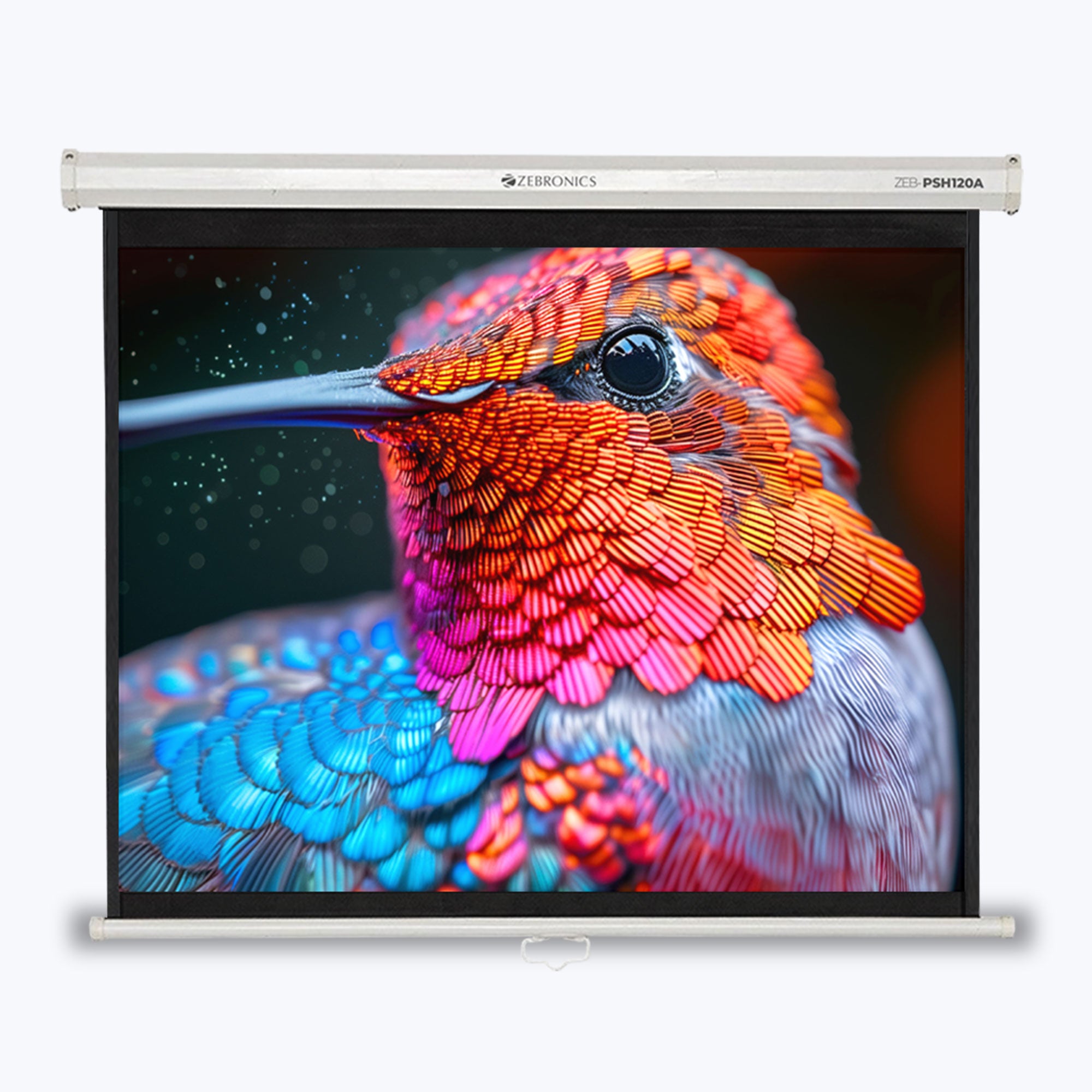 Zebronics - Zeb PSH120A - Projector Screen