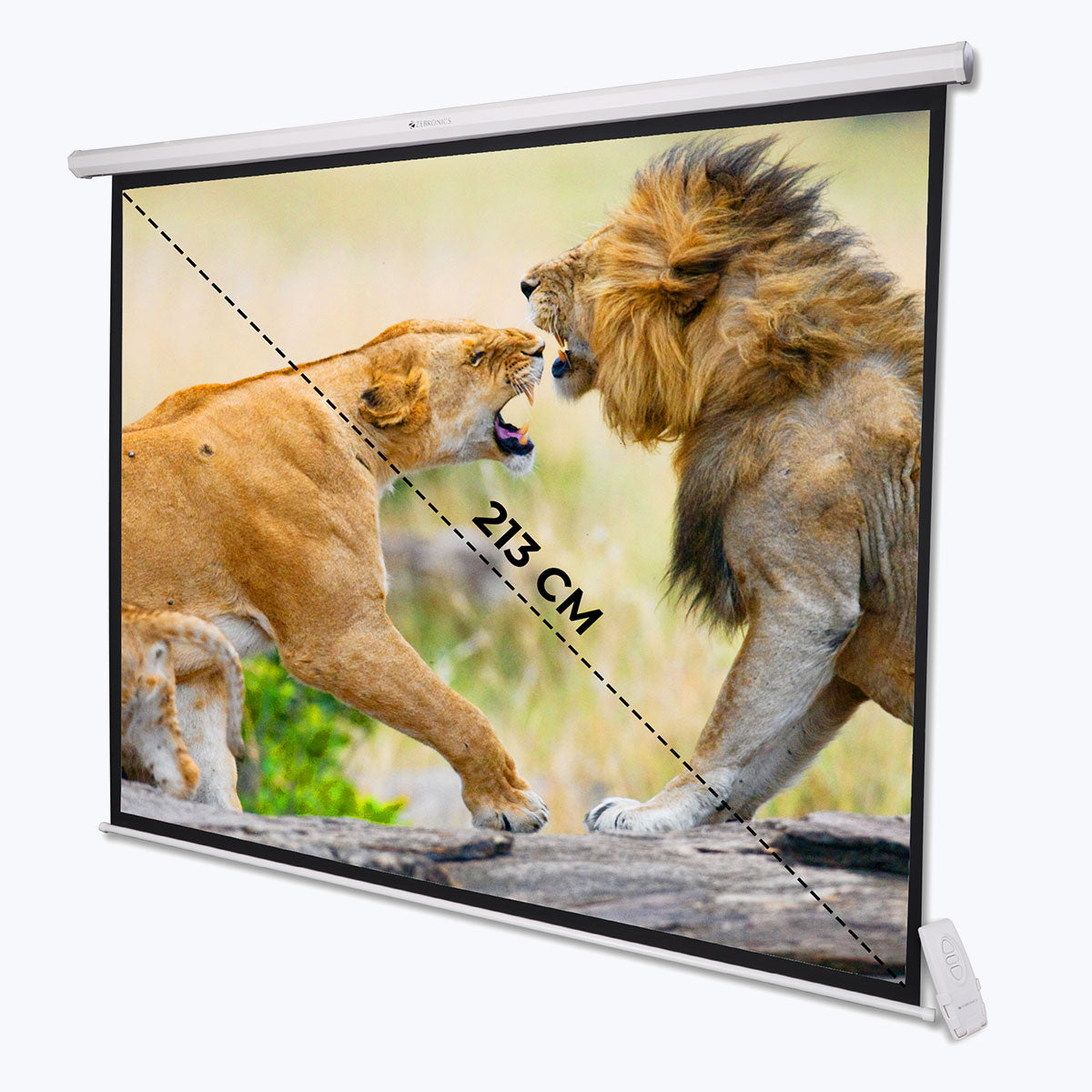 Zebronics PSM84A Projector Screen