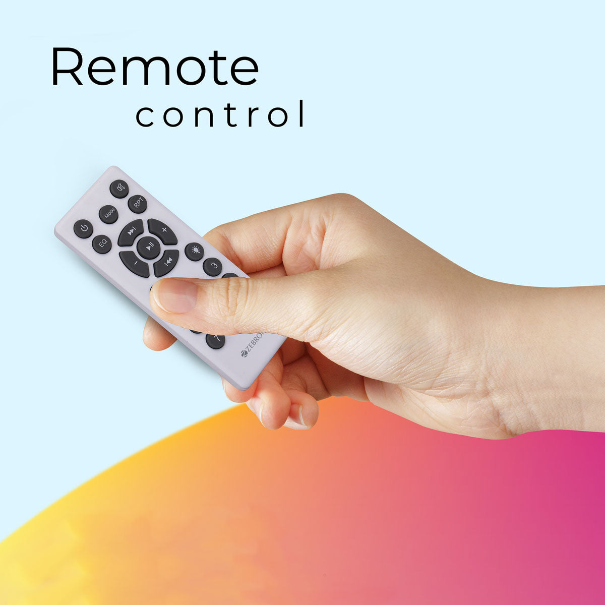 Zebronics buddy Dj speaker Remote control