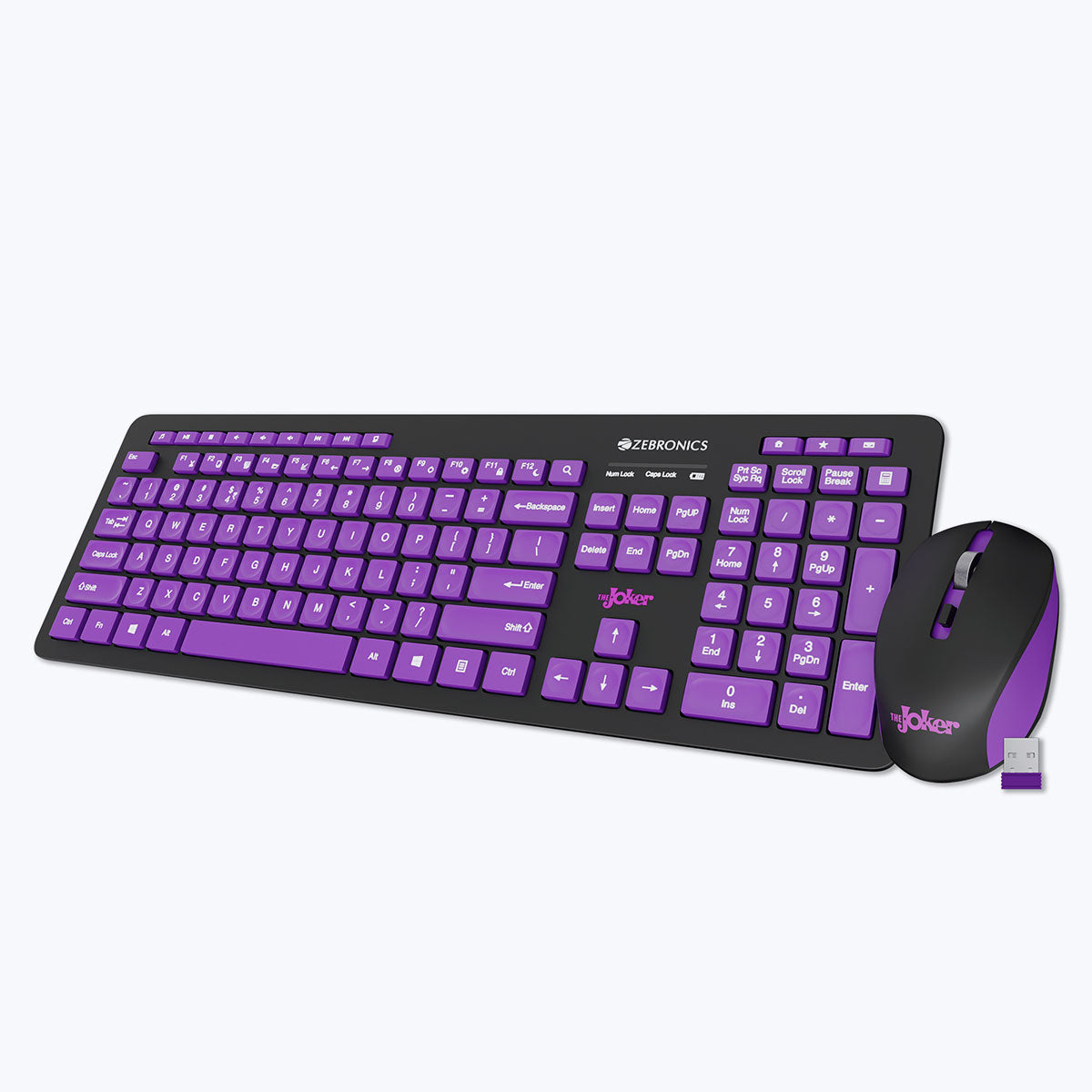 Zeb-Companion 500 - keyboard and mouse combo - Zebronics