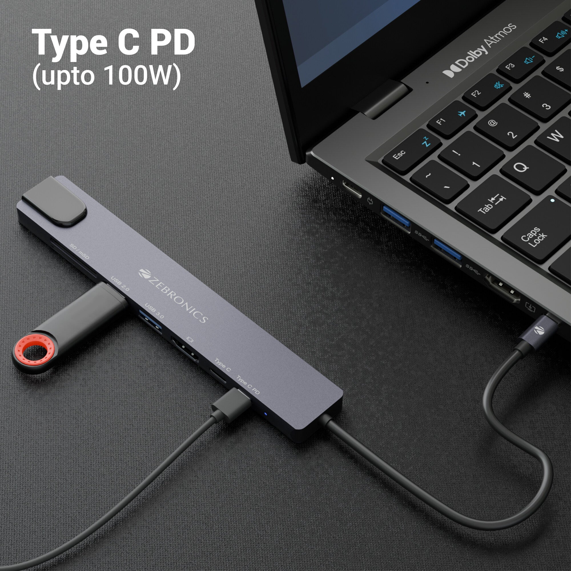 Zeb CT81