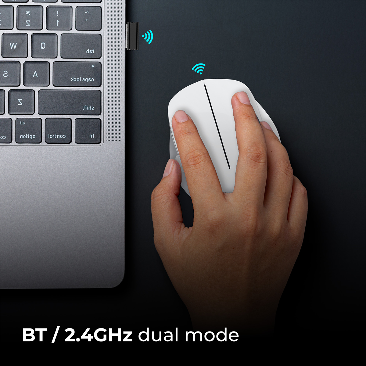Zeb-Dolphin - Wireless Mouse - Zebronics