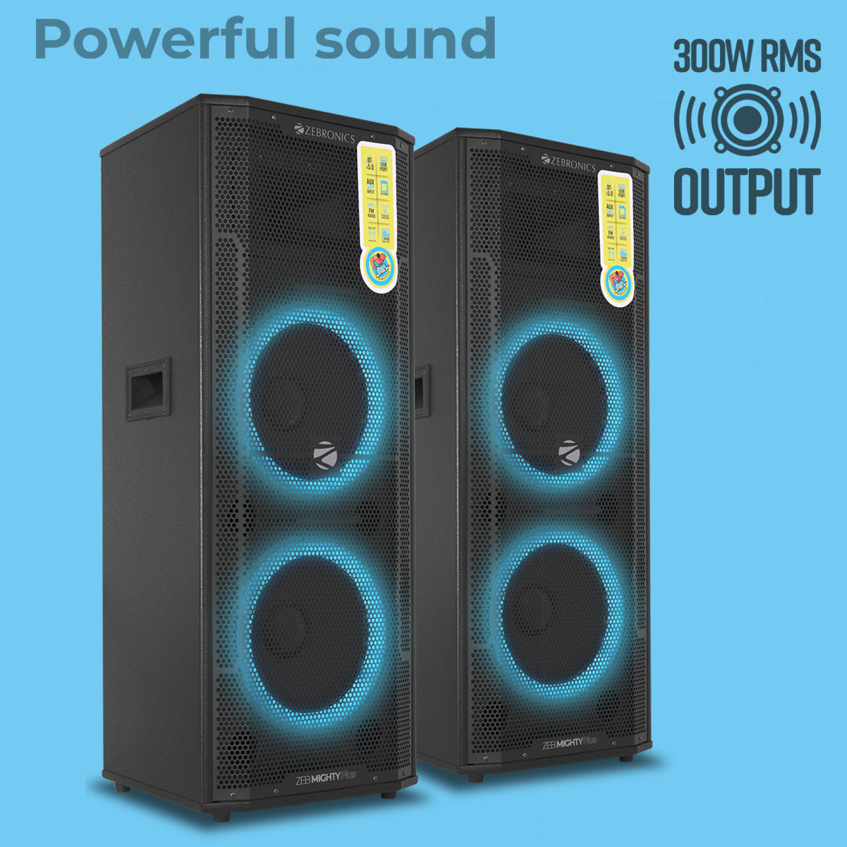 Zebronics Mighty Plus with LED lights 300W output