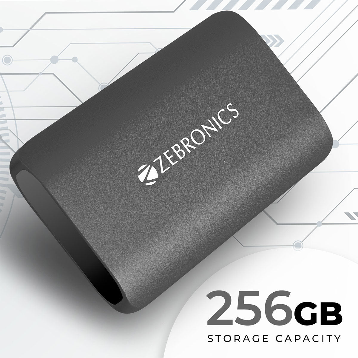 ZEB-PSSD256 - PSSD - Zebronics