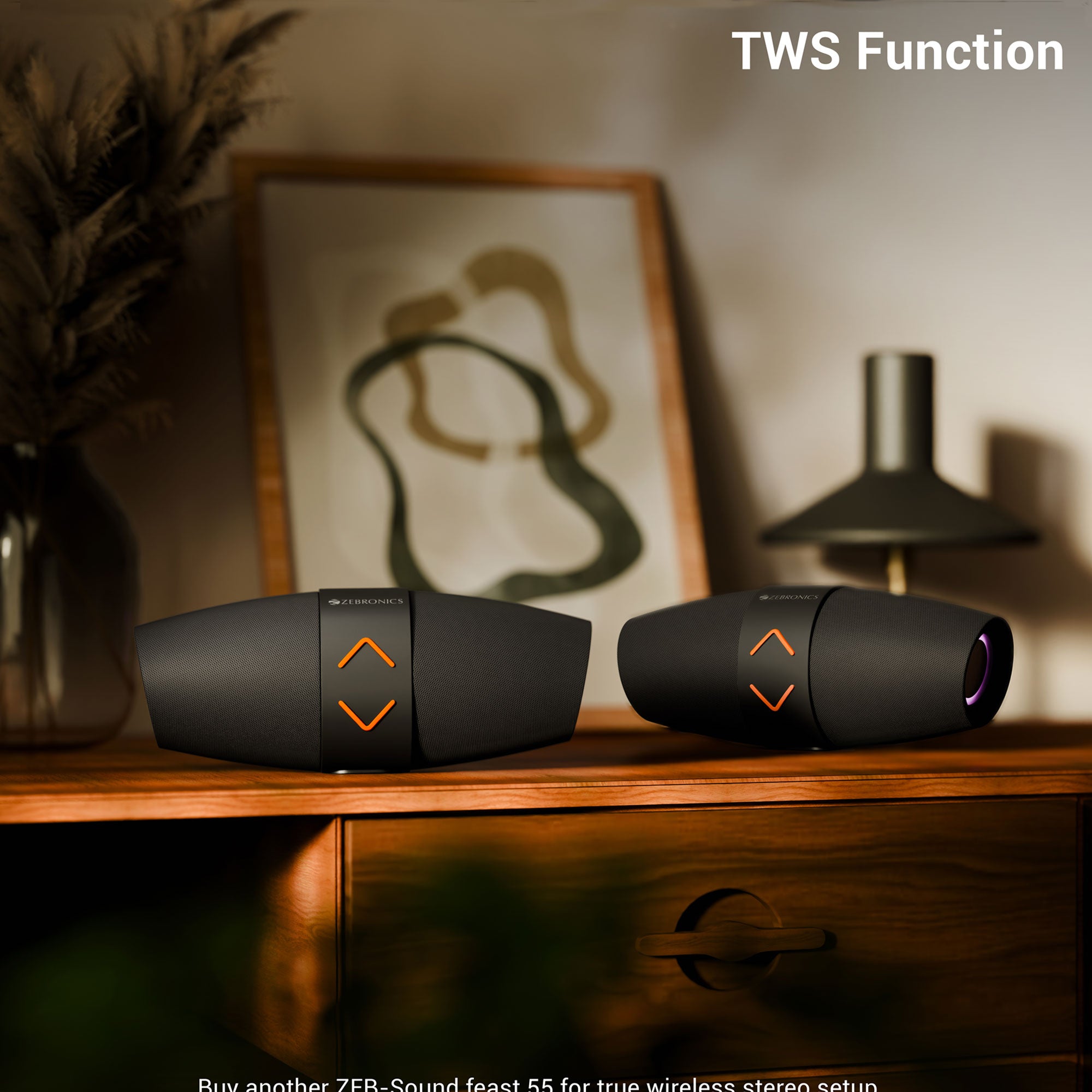 Zebronics Soundfeast 55 Wireless Speaker