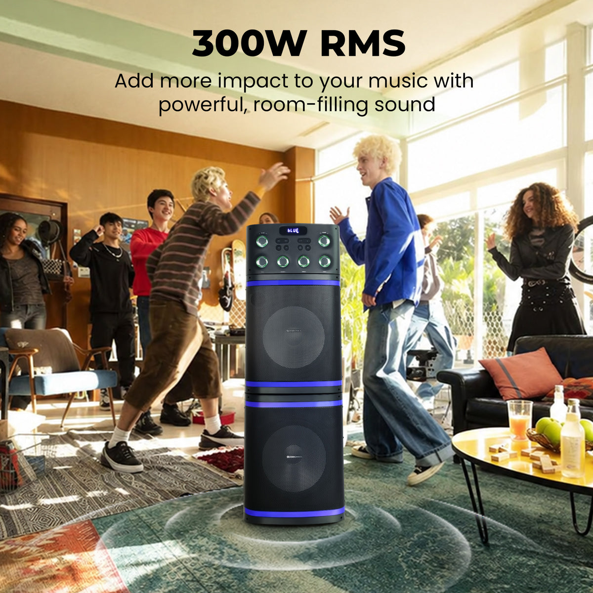 Zeb VOX 500