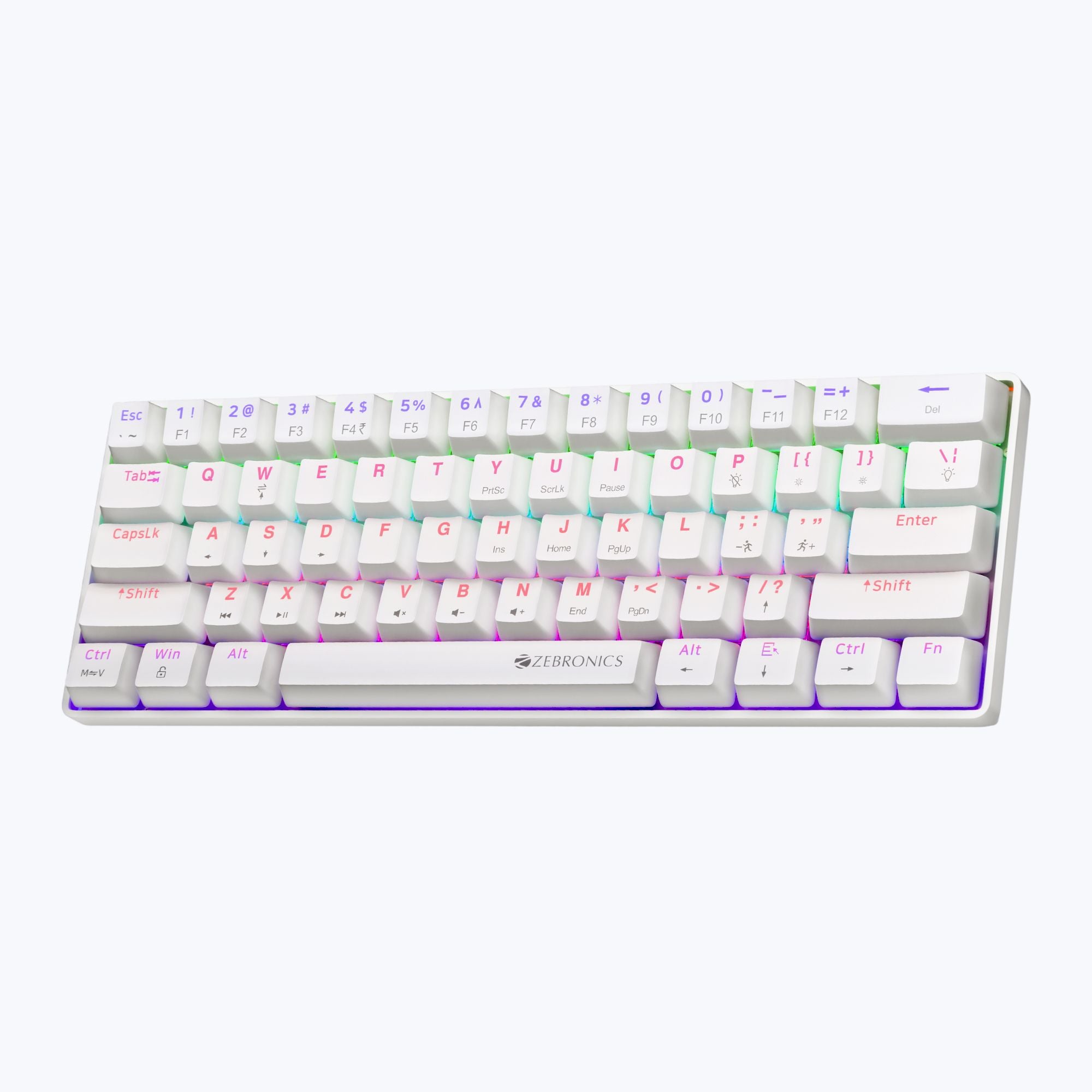 Zeb Max Ninja 61