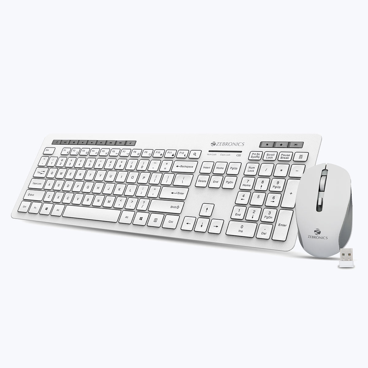 Zeb-Companion 500 - keyboard and mouse combo - Zebronics