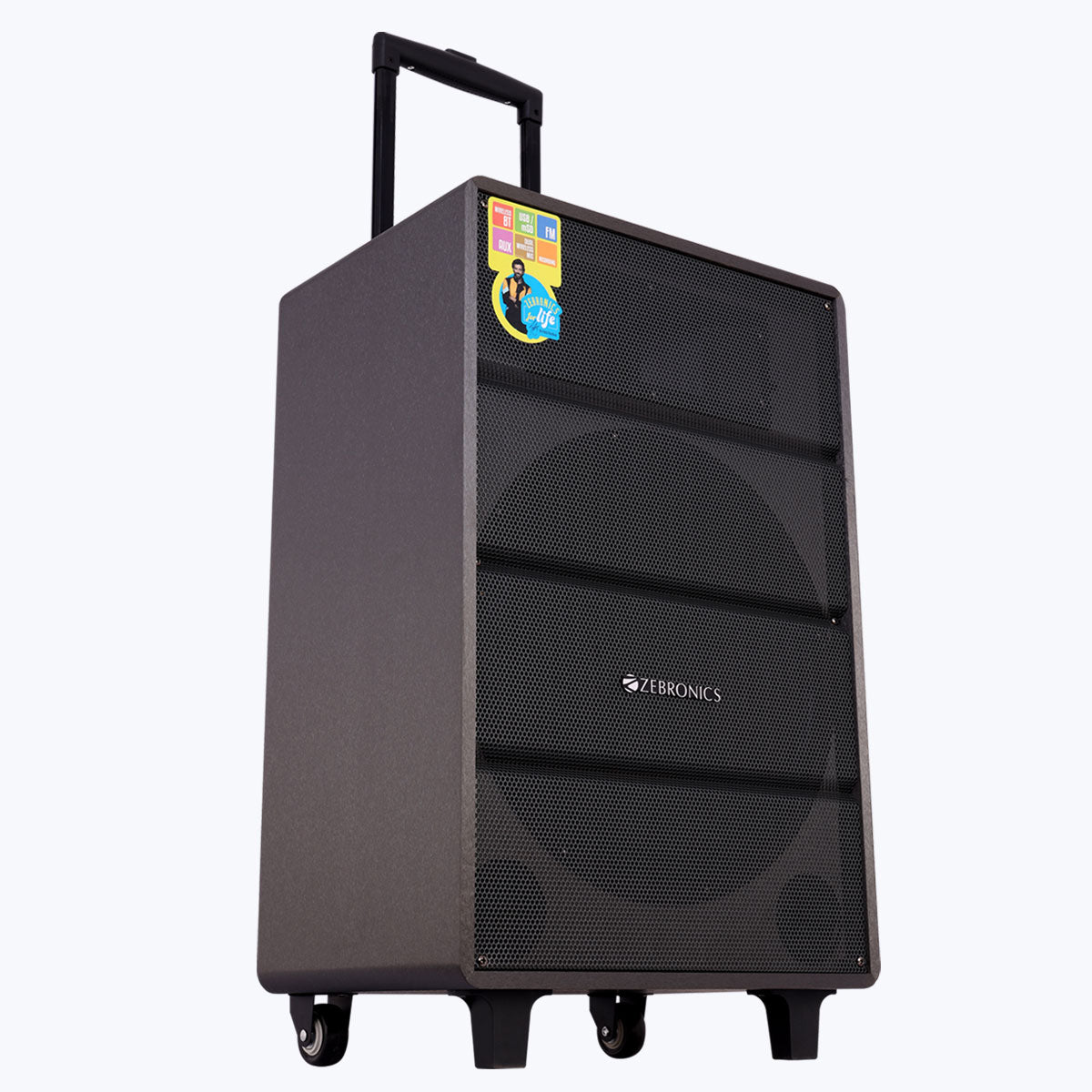 Banjo Pro - Trolley DJ Speaker - Zebronics