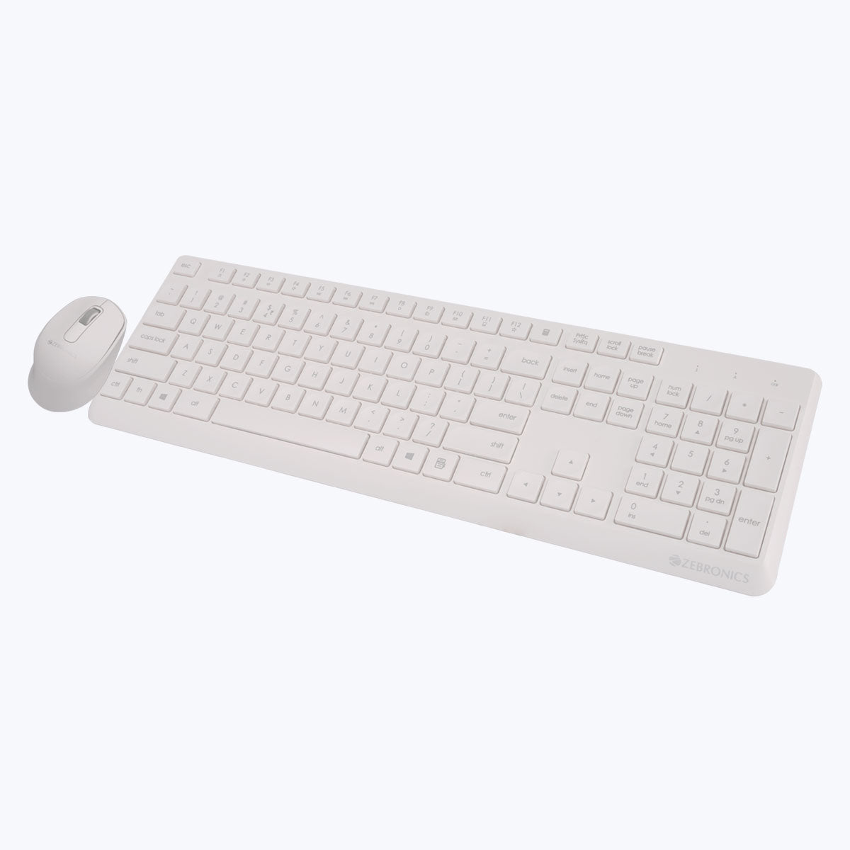 Zeb-Companion 200 - Keyboard and mouse combo - Zebronics