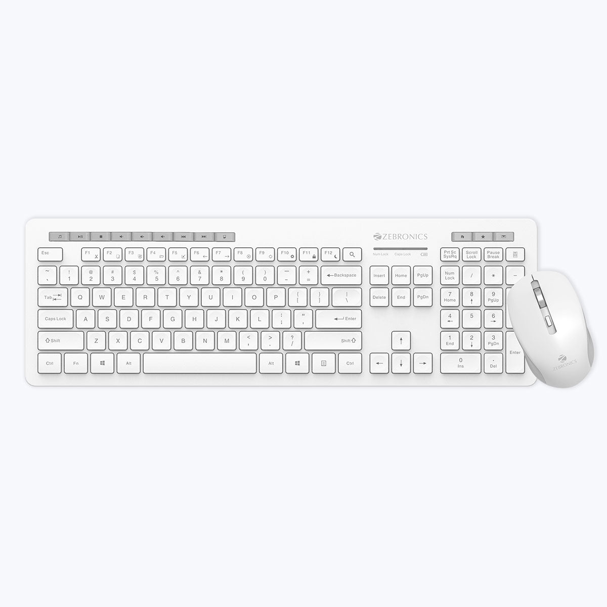 Zeb-Companion 500 - Keyboard and Mouse Combo - Zebronics
