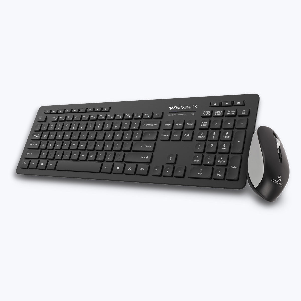 Zeb-Companion 500 - Keyboard and Mouse Combo - Zebronics