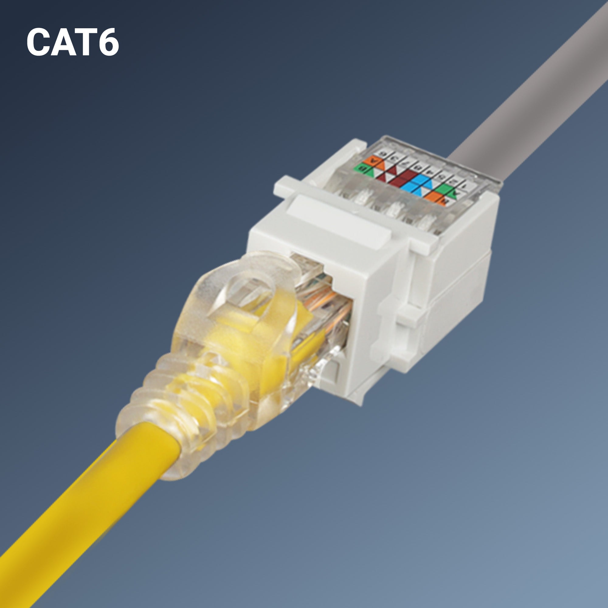 Zebronics RJ45KC6B RJ45 Keystone