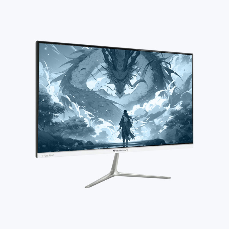 Zebronics A25 FHD LED Monitor(100Hz)