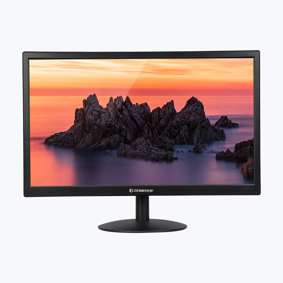 Professional Monitors