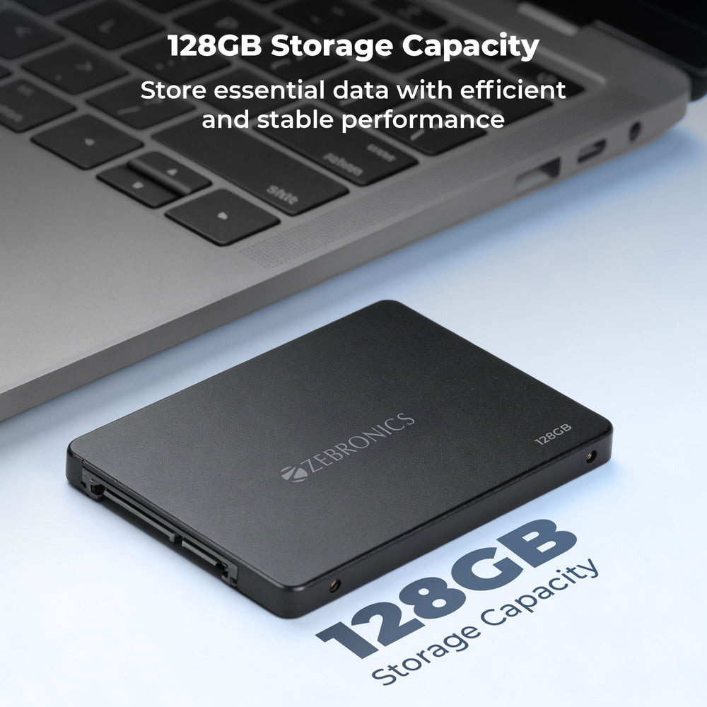 Zebronics SD13A SSD
