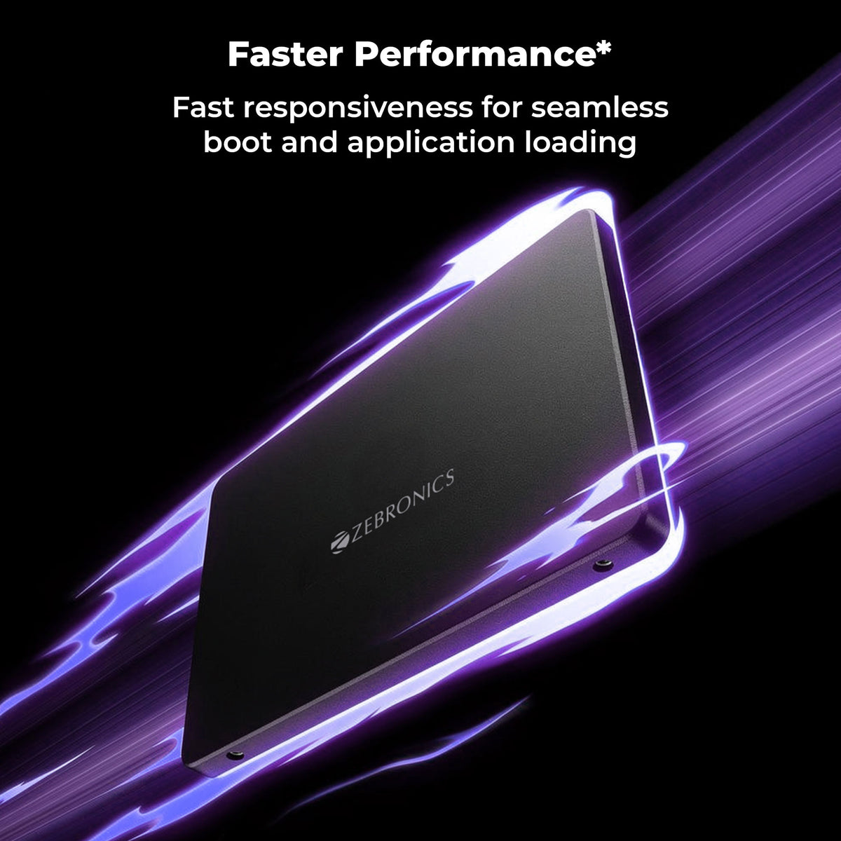 Zebronics SD52A SSD