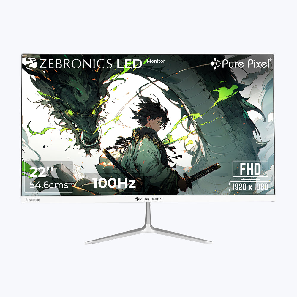 Zebronics A25 FHD LED Monitor(100Hz)