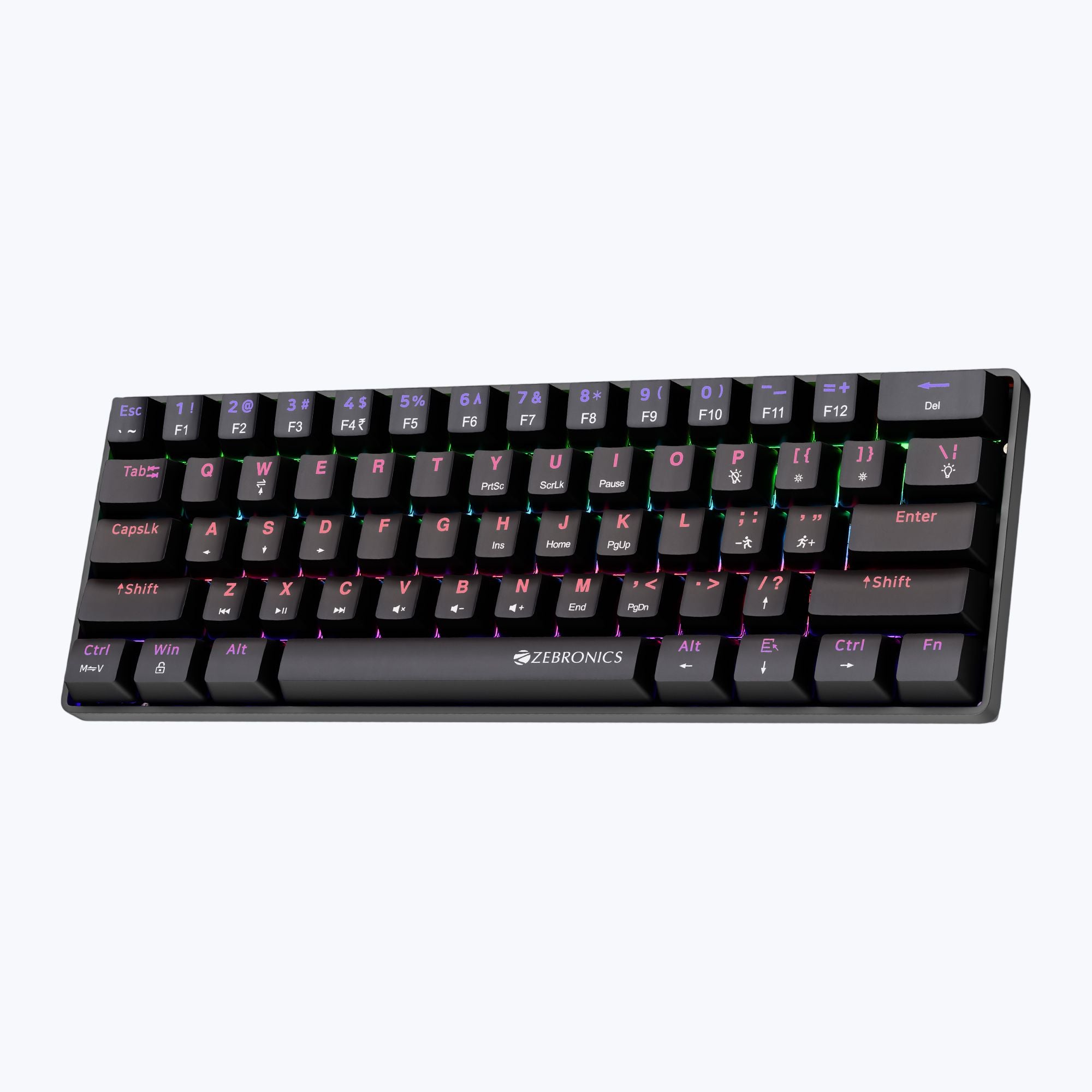 Zeb Max Ninja 61