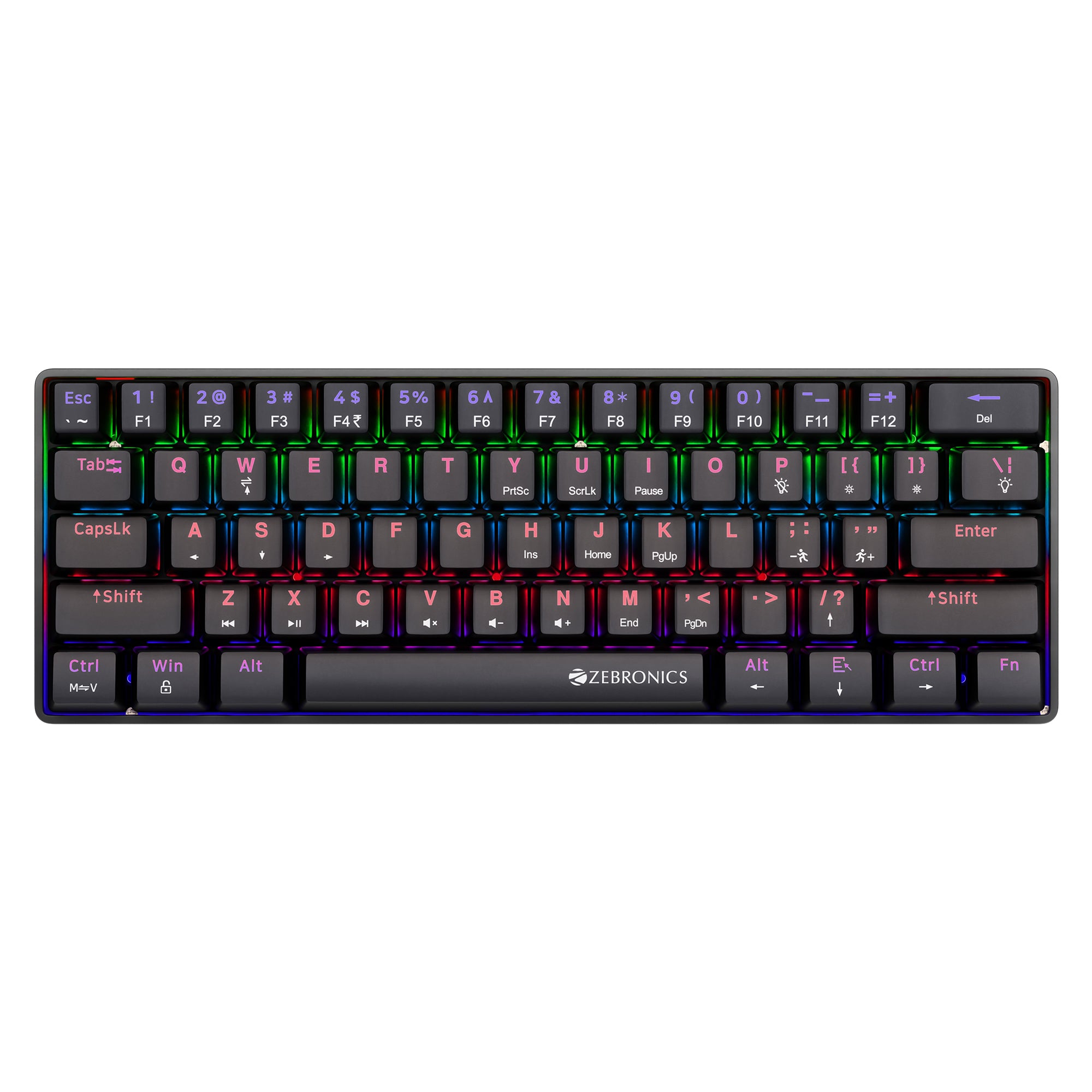 Zeb Max Ninja 61