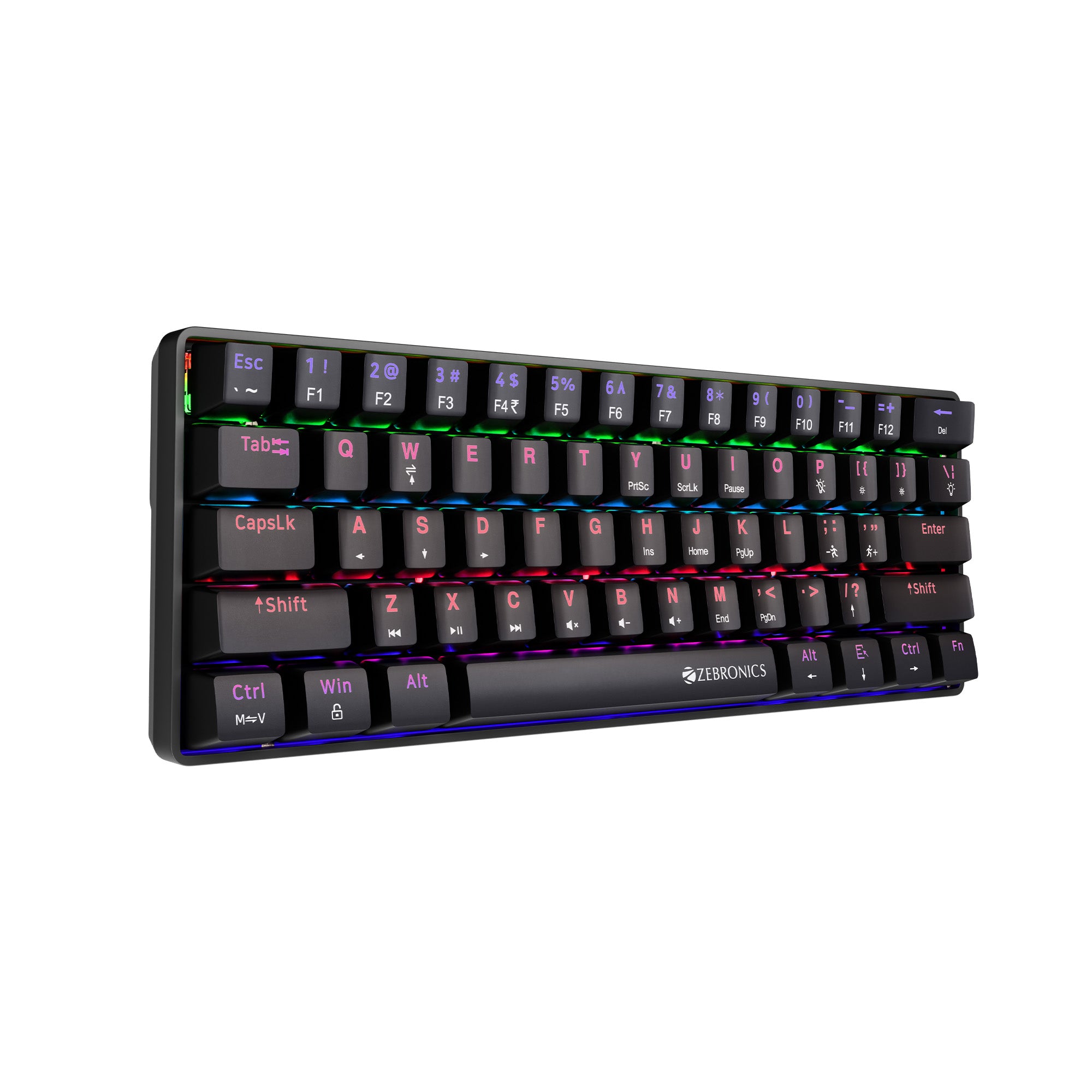 Zeb Max Ninja 61