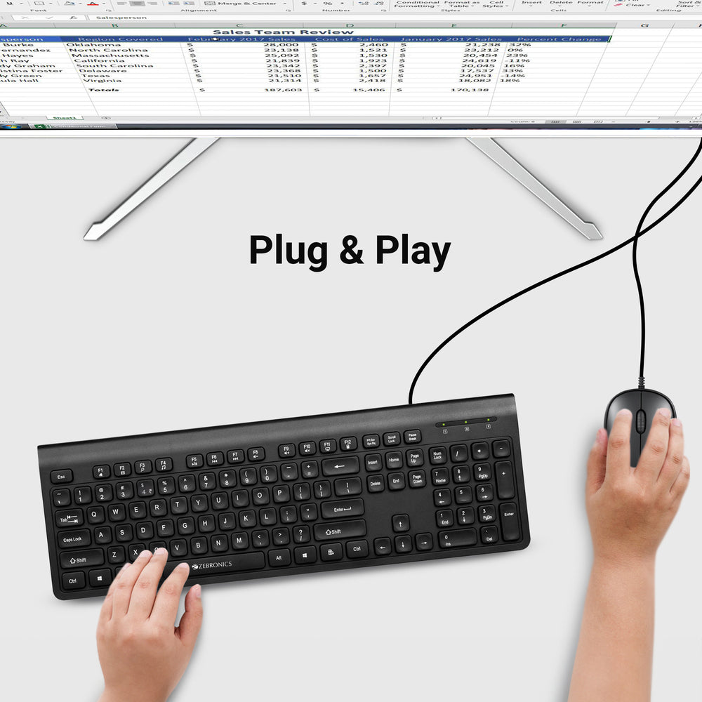 Zebronics Judwaa 880 Multimedia keyboard and mouse combo