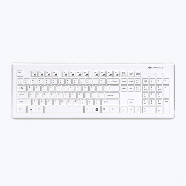 Zebronics DLK01 Keyboard