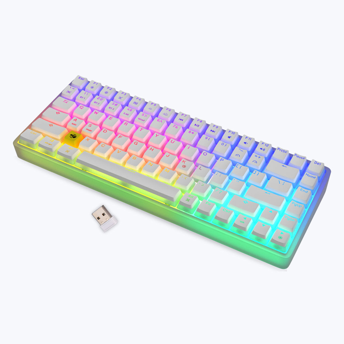 Zeb-Max Ninja 200 - Mechanical Keyboard - Zebronics