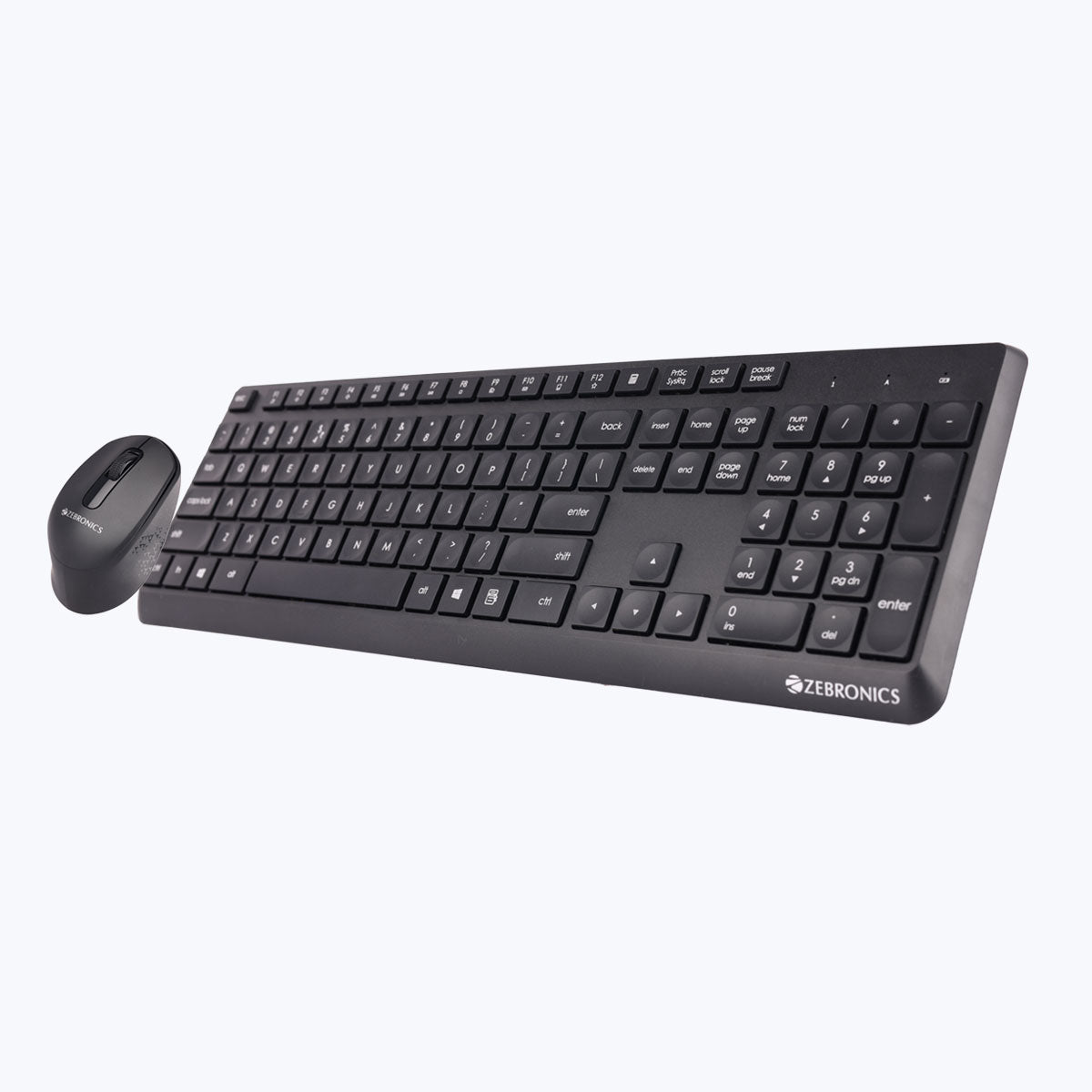 Zeb-Companion 200 - Keyboard and mouse combo - Zebronics